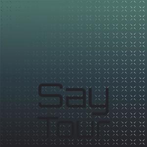 Album Say Tour from Various