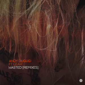 Album Wasted (Remixes) from Andy Duguid