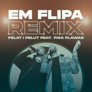 收聽Pelat i Pelut的Em Flipa (VTS Remix)歌詞歌曲