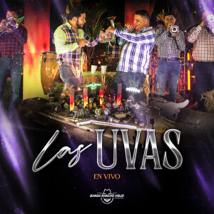 Listen to Las Uvas (En Vivo) song with lyrics from Banda Rancho Viejo De Julio Aramburo La Bandononona