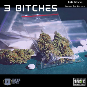 Album 3 Bitches (Explicit) from Fats Stacks