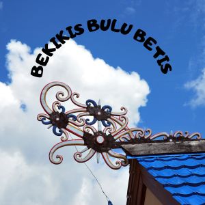 BEKIKIS BULU BETIS