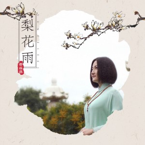 收聽雲菲菲的梨花雨 (伴奏)歌詞歌曲