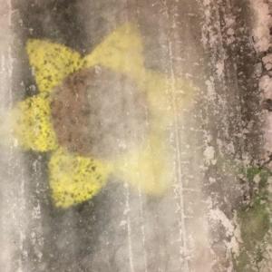 Kohl的專輯War (feat. roxas358 & Crusifye) (Explicit)