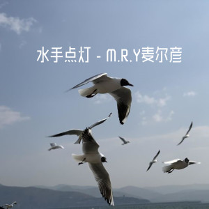 Listen to 水手点灯 (DJ版) song with lyrics from M.R.Y麦尔彦