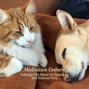 Album Meditative Embers: Calming Fire Blend for Balanced and Relaxed Pets from Noom Night Fire Sounds