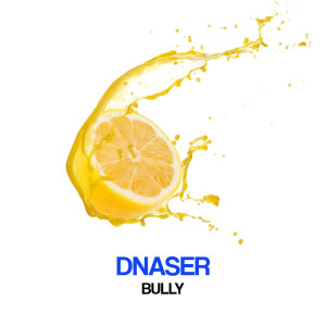 收聽Dnaser的Bully歌詞歌曲