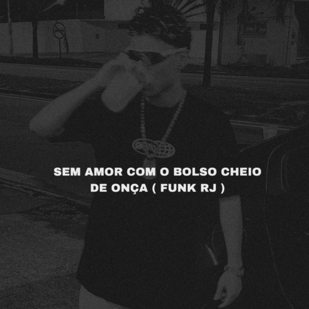 Sem amor com Bolso cheio de Onça Funk Rj