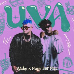 Uva (Explicit) dari Pupy Pal'Play