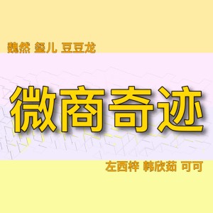 Album 微商奇迹 from 魏然