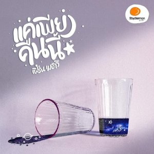 ดาวน์โหลดและฟังเพลง แค่เพียงคืนนี้.. พร้อมเนื้อเพลงจาก เฟิร์น เมธาวี