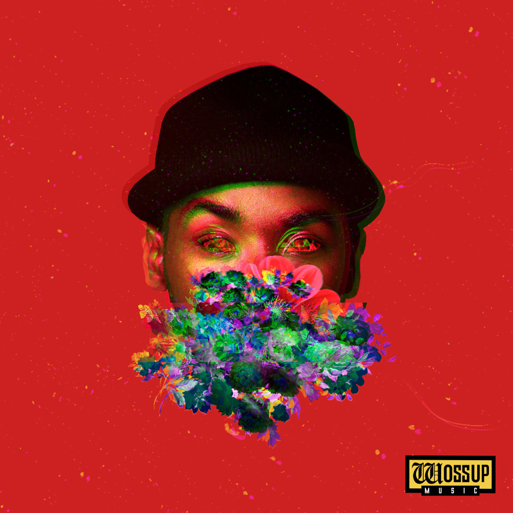 Les jolies choses (Explicit)
