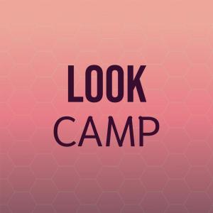 Various Artists的專輯Look Camp