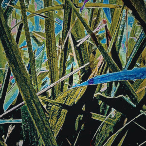 收听우즌的Freshman (Explicit)歌词歌曲