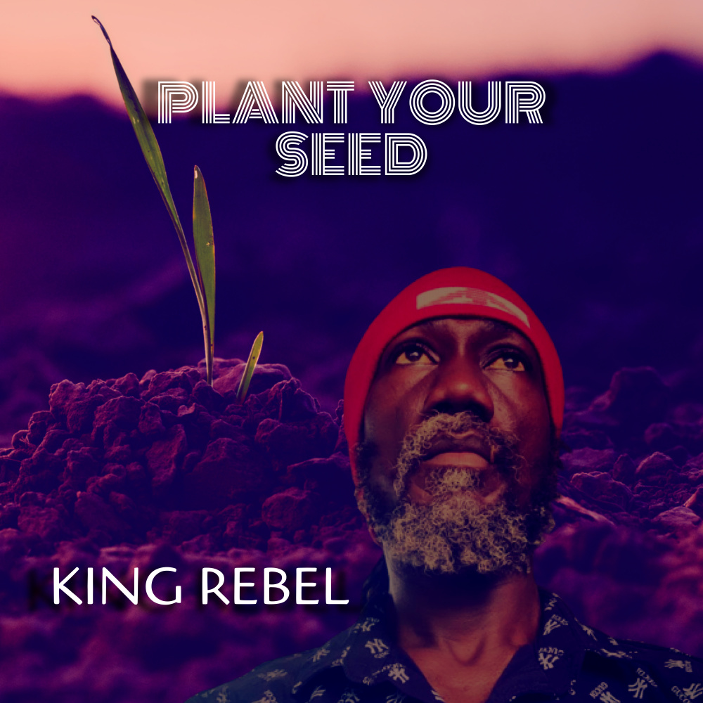 Plant Your Seed