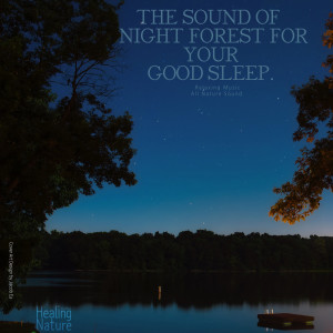 Dengarkan lagu Night Forest Sound for Your Good Sleep, Pt. 1 nyanyian 힐링 네이쳐 Nature Sound Band dengan lirik