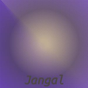 Listen to Jangal song with lyrics from Dom Um Romao