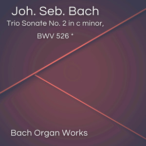 Dengarkan lagu Bach Organ Works in September (Bach Organ Works in September) nyanyian Johann Sebastian Bach dengan lirik