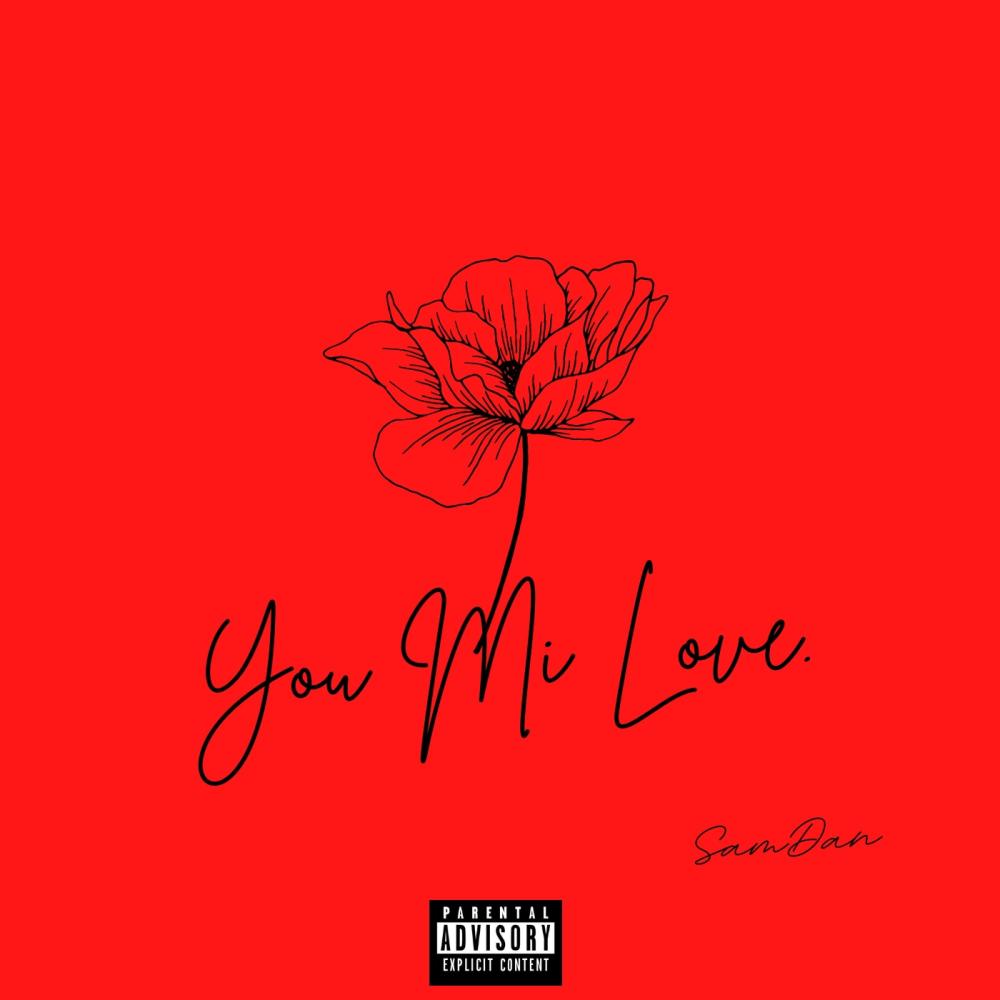 You Mi Love (Explicit)
