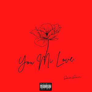 ดาวน์โหลดและฟังเพลง You Mi Love (Explicit) พร้อมเนื้อเพลงจาก SamDan