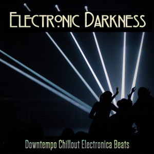 Various Artists的专辑Electronic Darkness (Downtempo Chillout Electronica Beats)