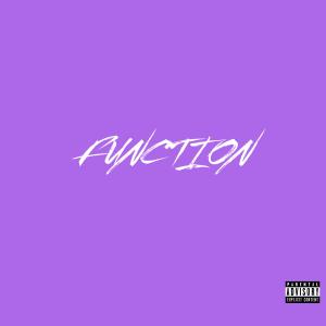收聽LANCE的Function (feat. LqFlqme) (REMIX|Explicit)歌詞歌曲