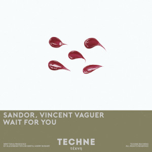Album Wait For You from Sandor