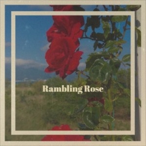 收聽Nat King Cole的Rambling Rose歌詞歌曲