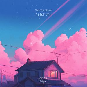 Listen to I Like You (A Happier Song) song with lyrics from Peaceful Melody