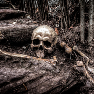 อัลบัม Scary Music Club ศิลปิน Alex Paul