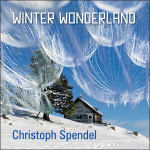 收聽Christoph Spendel的Hark the Herold Angels Sing歌詞歌曲