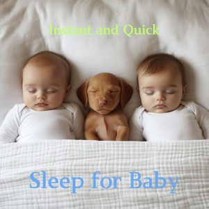 Listen to Peaceful Bedtime Melodies for Rest song with lyrics from Instant And Quick Sleep for Baby