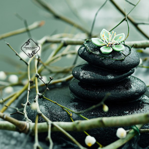 Ensemble de Musique Zen Relaxante的專輯Cheminement Vers l’Essence