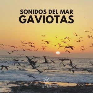 收聽Sonidos Del Mar的Sonidos del Mar: Gaviotas (32)歌詞歌曲