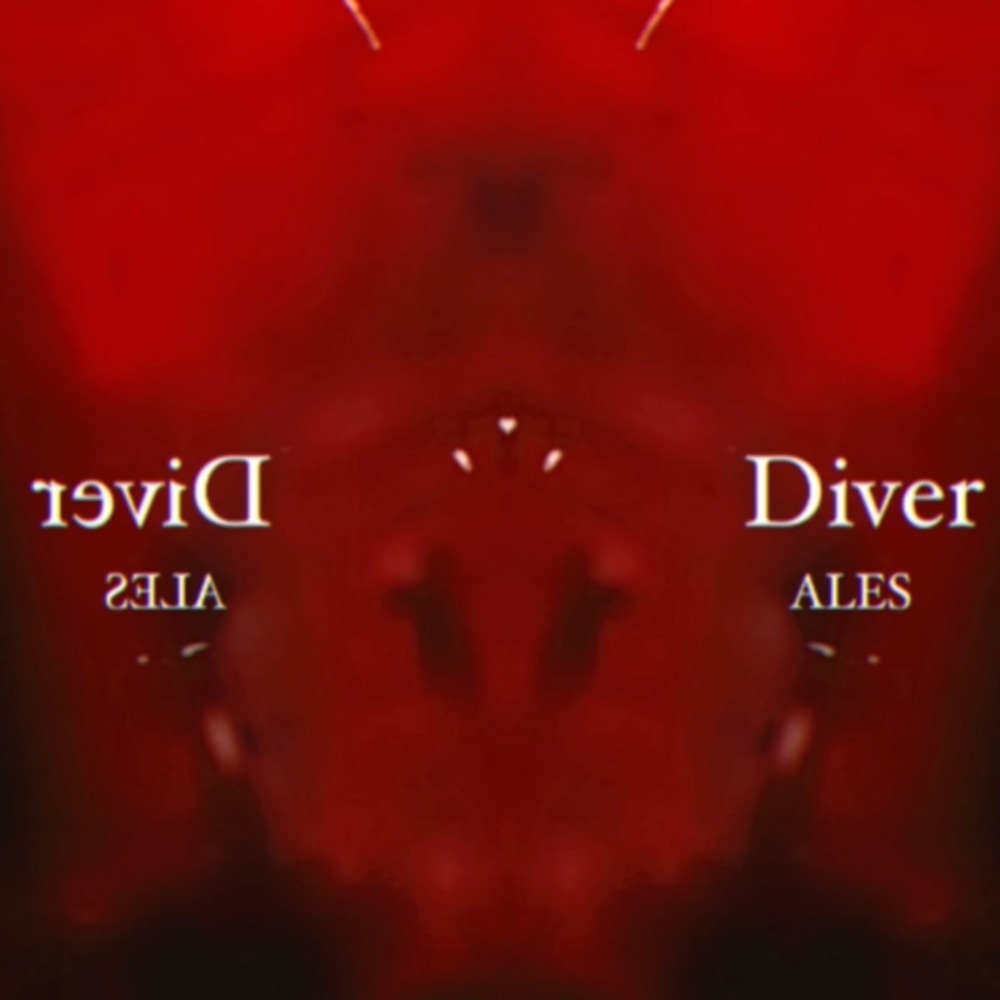 Diver