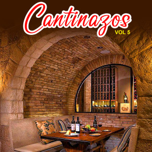 Listen to Le Canto A Mamá song with lyrics from El Principe del Sur