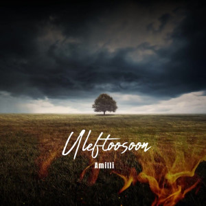 Listen to Grown up Shit (Explicit) song with lyrics from Amilli