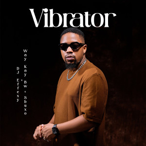 DJ Effexy的專輯Vibrator