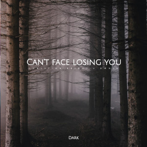 Christian Reindl的专辑Can't Face Losing You (Dark)