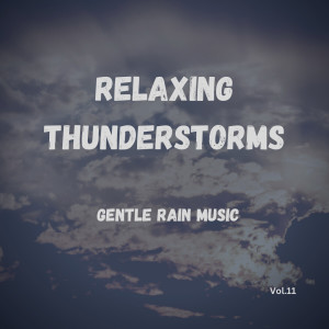 Relaxing Thunderstorms (Vol.11)