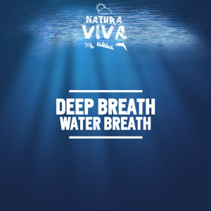 Deepbreath的專輯Water Breath