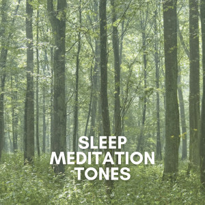 Relaxing Sounds的專輯Sleep Meditation Tones