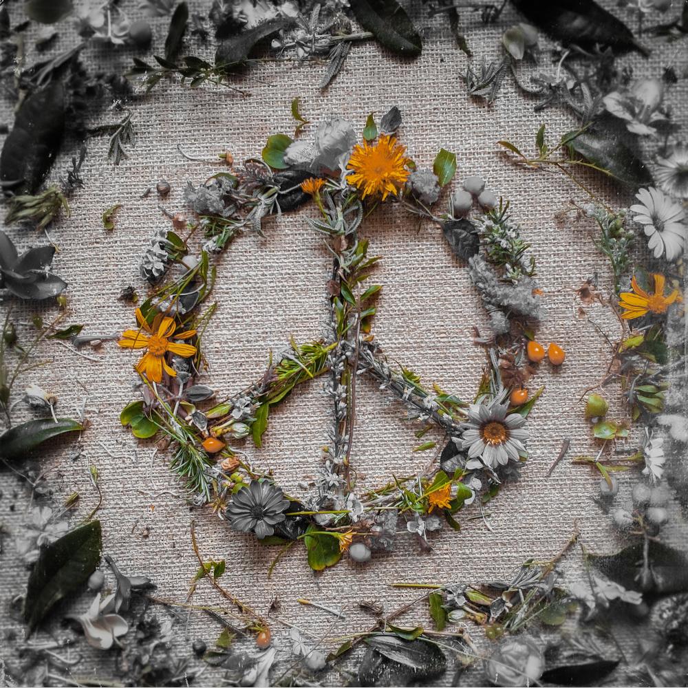 Peace Sine