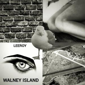 Walney Island dari Leeroy