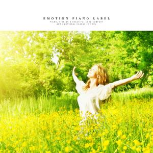 Album Beautiful New Age Piano from 