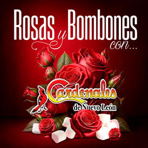 ดาวน์โหลดและฟังเพลง Para Olvidarme De Ti พร้อมเนื้อเพลงจาก Cardenales De Nuevo León