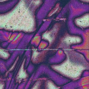 收聽Dotta Music Group的Dont Lie (feat. Kolaterol, Jenzo! & Luv Tention) (Explicit)歌詞歌曲