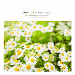 ดาวน์โหลดและฟังเพลง Green Grass พร้อมเนื้อเพลงจาก Korean Various Artists