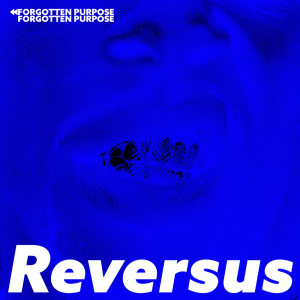 收听Reversus的We the Kings歌词歌曲