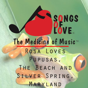 收聽R. Scher的Rosa Loves Pupusas, the Beach and Silver Spring, Maryland歌詞歌曲